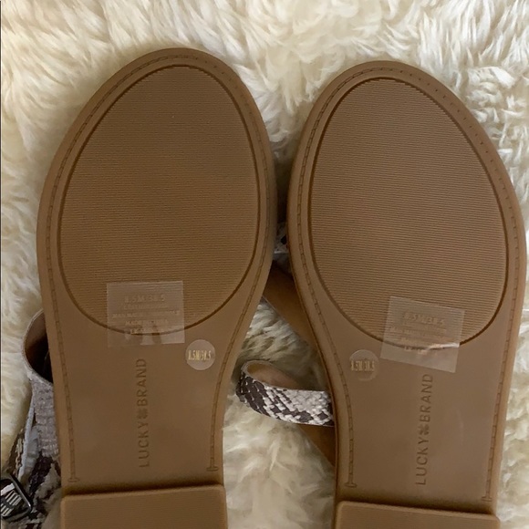 Lucky Brand Summer Sandals 😍 - Picture 6 of 7